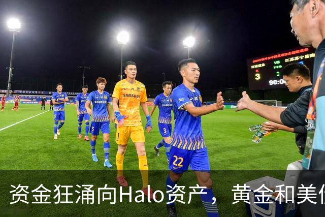 资金狂涌向Halo资产，黄金和美债引发市场变动